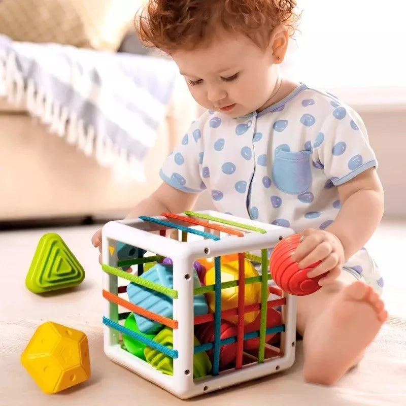 Cubo de clasificación