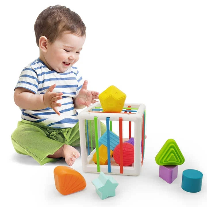 Cubo de clasificación